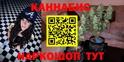 сатива Тара