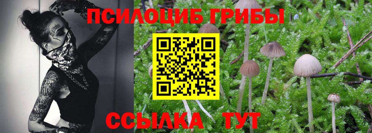 Галлюциногенные грибы Magic Shrooms  Вход с VPN  Нижнеудинск  Галлюциногенные грибы Psilocybe 
